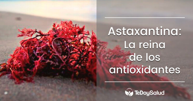 Axtaxantina: Poderoso antioxidante